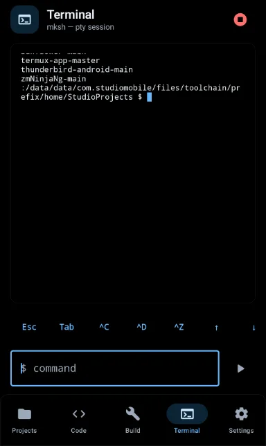 The Terminal screen listing checked-out project directories, with a command
                  input at the bottom.